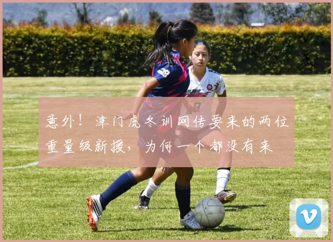 意外!津门虎冬训网传要来的两位重量级新援,为何一个都没有来