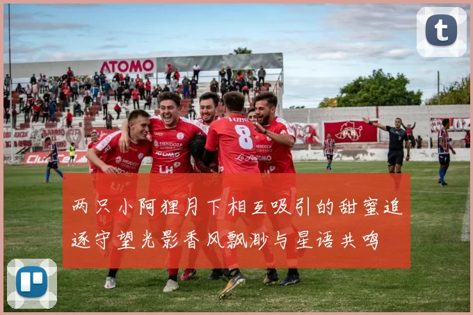 两只小阿狸月下相互吸引的甜蜜追逐守望光影香风飘渺与星语共鸣