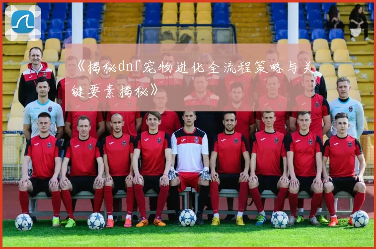 《揭秘dnf宠物进化全流程策略与关键要素揭秘》