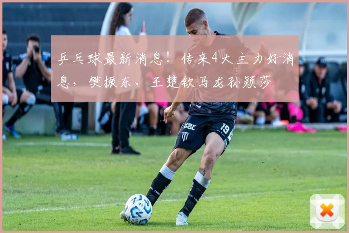 乒乓球最新消息！传来4大主力好消息，樊振东、王楚钦马龙孙颖莎