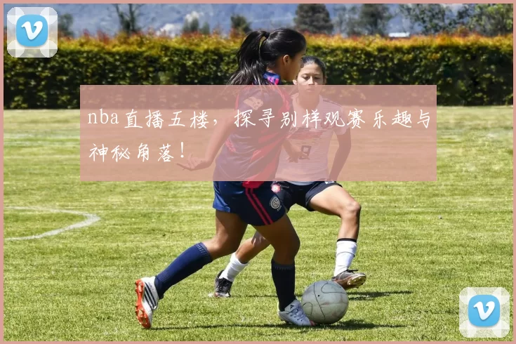 nba直播五楼，探寻别样观赛乐趣与神秘角落！