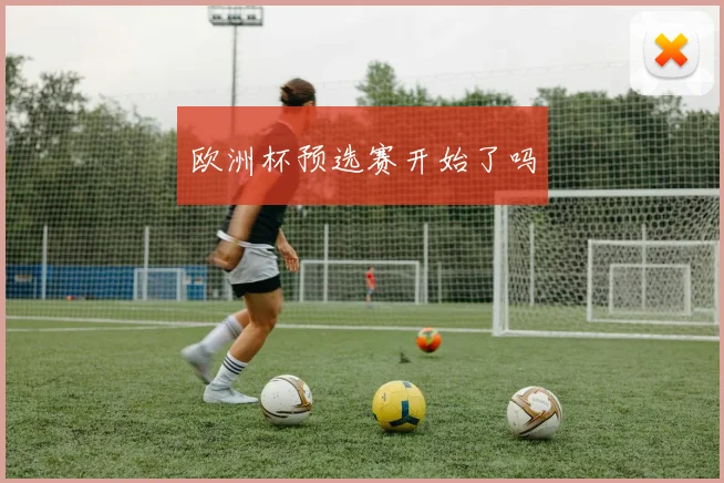 欧洲杯预选赛开始了吗