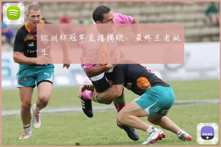 欧洲杯冠军直播揭晓，最终王者诞生