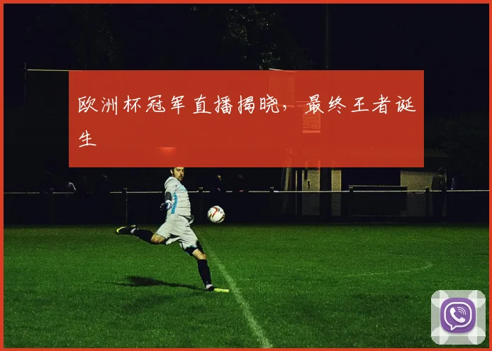 欧洲杯冠军直播揭晓，最终王者诞生
