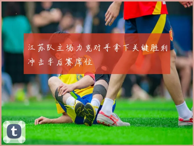 江苏队主场力克对手拿下关键胜利冲击季后赛席位