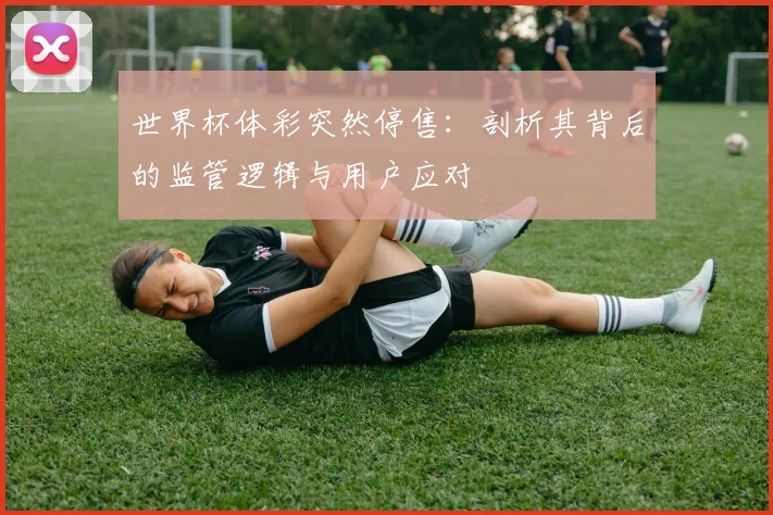 世界杯体彩突然停售:剖析其背后的监管逻辑与用户应对
