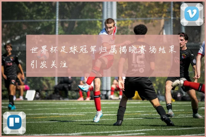 世界杯足球冠军归属揭晓赛场结果引发关注